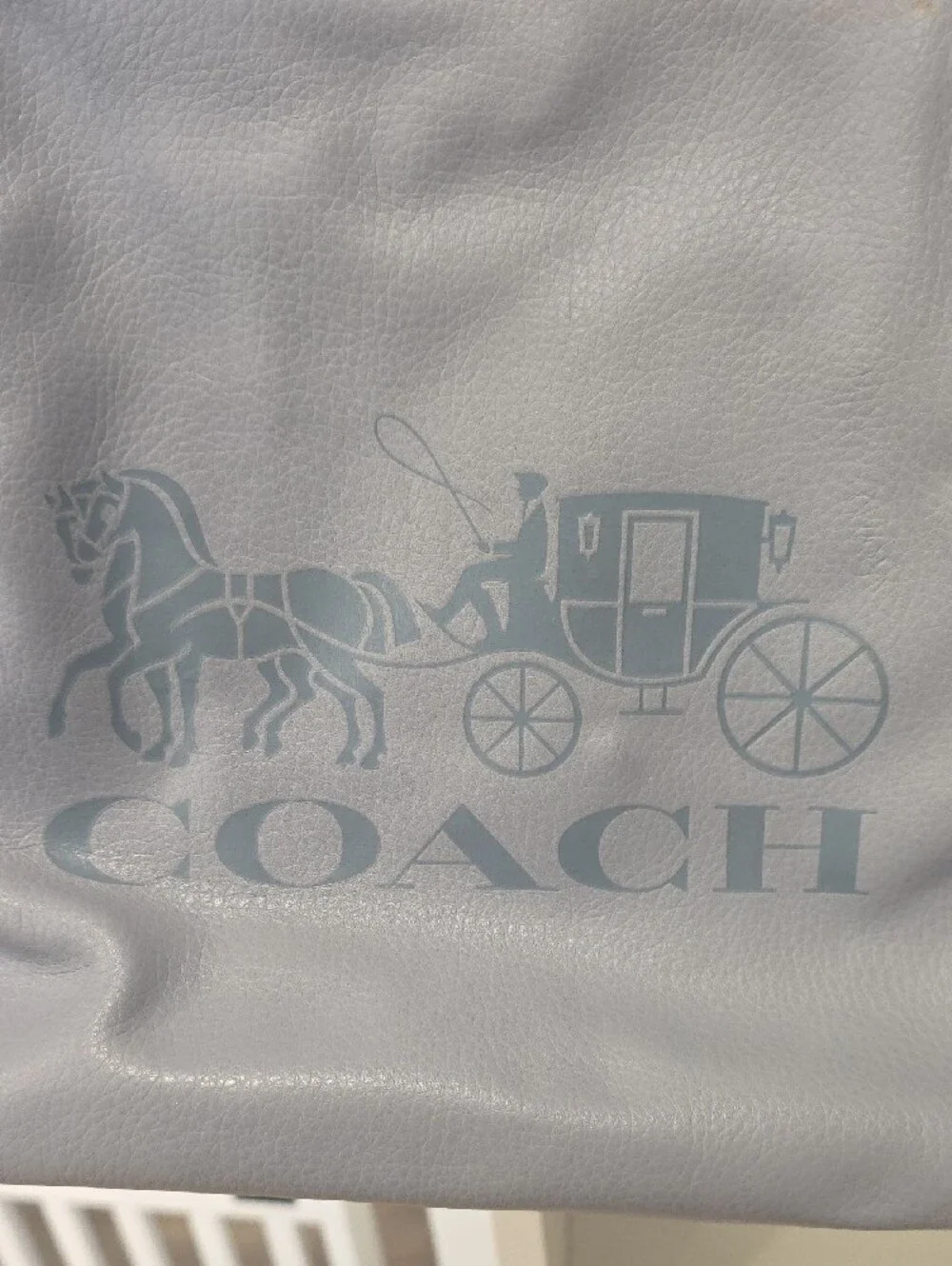 Coach Blue-Gray Leather Tote with Green Trim With Duster